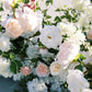 The Chanel Aisle Flowers
